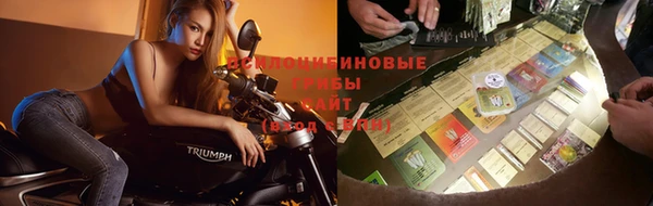 каннабис Арсеньев