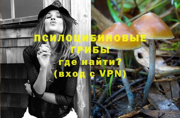 каннабис Арсеньев